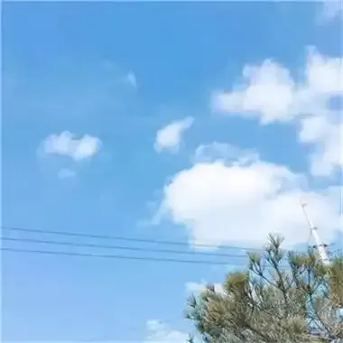 风中_tio